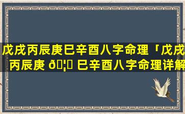 戊戌丙辰庚巳辛酉八字命理「戊戌丙辰庚 🦟 巳辛酉八字命理详解」